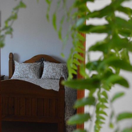 Casa Las Pardelas Икод-де-лос-Винос Экстерьер фото